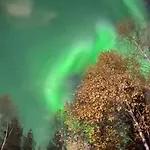 아파트 Arctic *