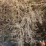 아파트 Arctic