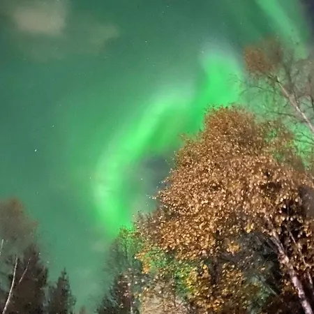 Διαμέρισμα Arctic *