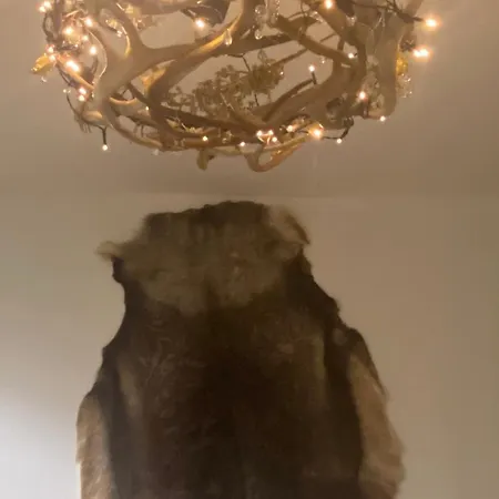 Arctic Apartman *