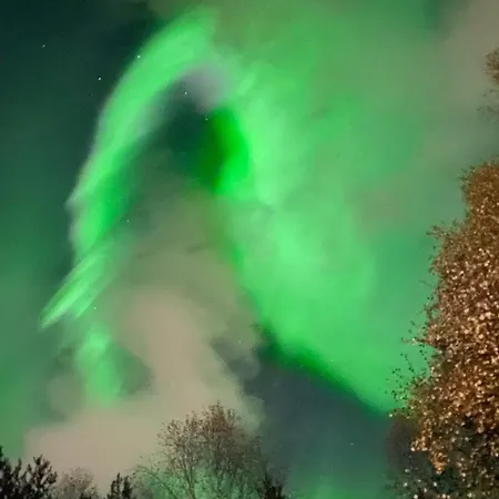 Arctic Rovaniemi