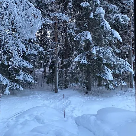 Arctic
