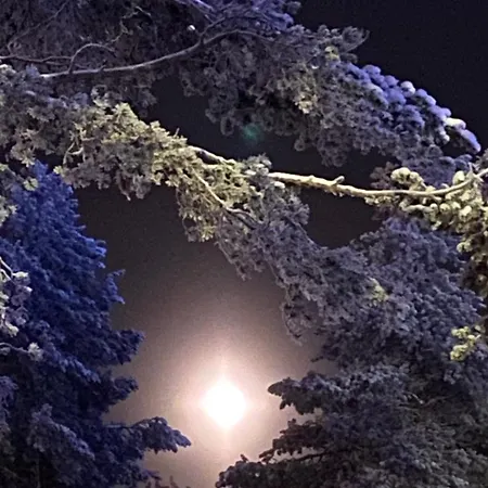 Arctic Apartamento *