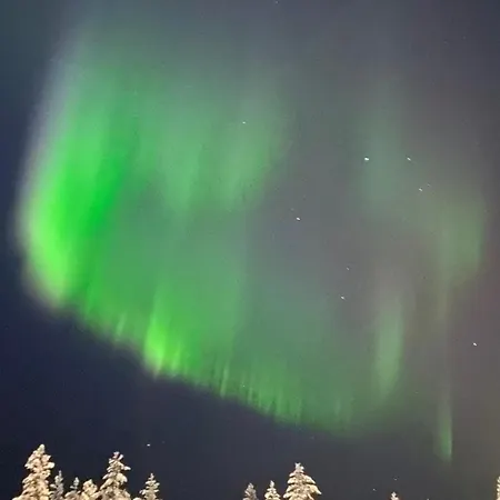 Arctic Apartman *