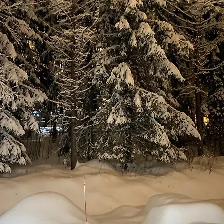 Arctic