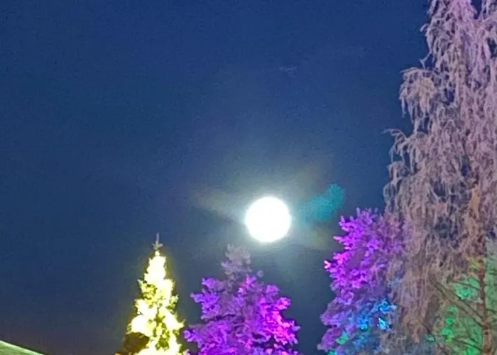 Apartamento Arctic *