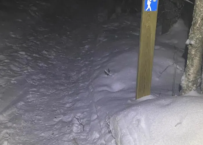 Arctic Apartman Rovaniemi